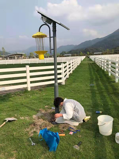 廣東省廣州市從化馬場(chǎng)太陽(yáng)能殺蟲燈